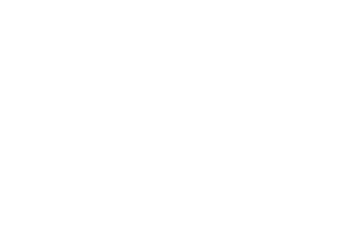 Wits Enj